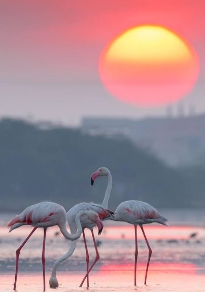 bundalaNP_03-e1708940769311